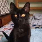 Devil